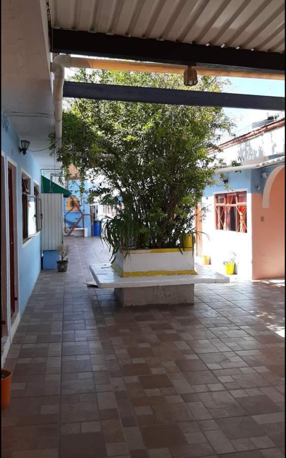 Hotel Reforma Inn Querétaro Εξωτερικό φωτογραφία